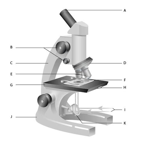 Microscope Diagram (Grade 8) - Free Printable Tests and Worksheets | Microscope parts, Biology ...