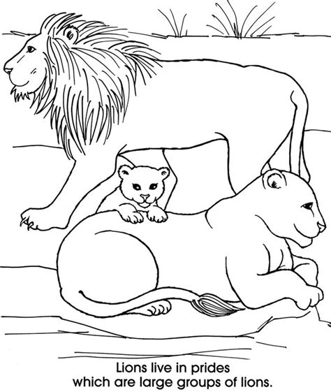 Lion family coloring page | Family coloring pages, Animal coloring ...