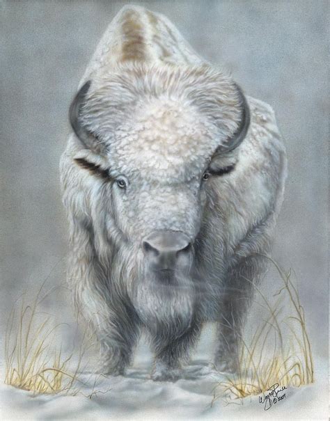 White Buffalo by Wayne Pruse | Buffalo art, Buffalo painting, Native american paintings