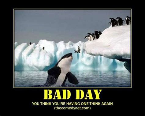 bad-day-motivational-posters | Demotivational posters funny ...