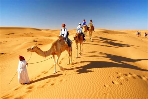 Morning desert safari Dubai tour with camel rides | OutdoorTrip