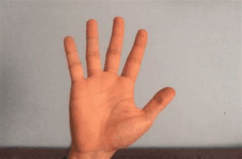 Hand Waving GIF - Hand Waving Hello - Discover & Share GIFs | Waving ...