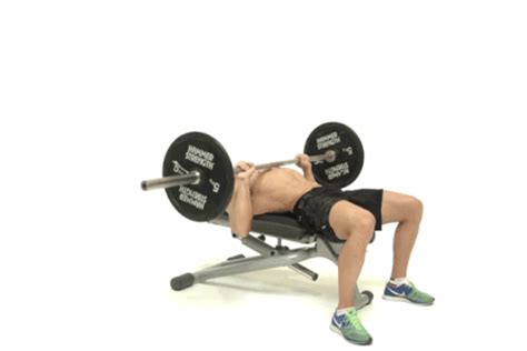 17+ Jaw Dropping Benefits of the Incline & Decline Bench Press