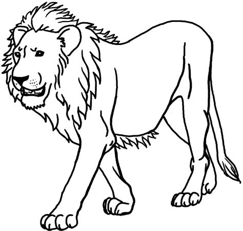 Free African Lion Cliparts, Download Free African Lion Cliparts png ...