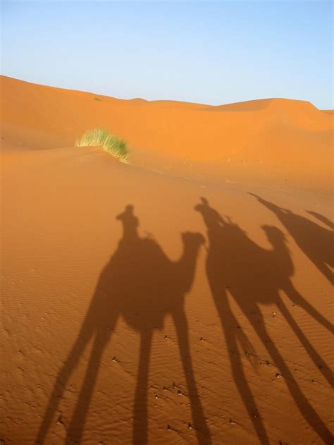 Moroccan Desert | Explore, Outdoor