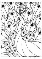 Peacock Coloring Pages  coloring Bird sketch template