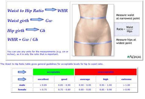 Waist to Hip Ratio Chart | Weights workout, Body health, Natural skin ...