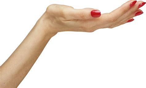 Hands PNG Image - PurePNG | Free transparent CC0 PNG Image Library