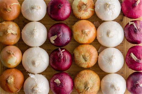 10 Different Types Of Onions And When To Use Them - Simplemost