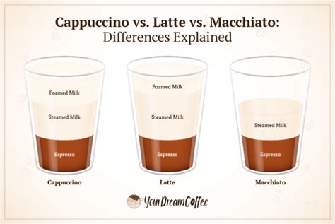 Cappuccino vs. Latte vs. Macchiato: Differences Explained