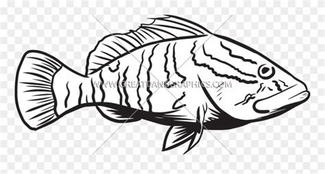 Free Grouper Cliparts, Download Free Grouper Cliparts png images, Free ...