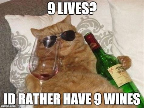 Image tagged in drunk cat,cat,wine,wine cat - Imgflip