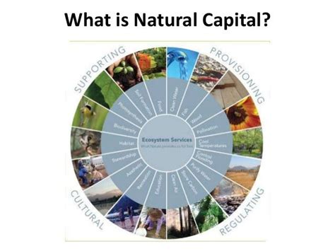 Investing in natural capital