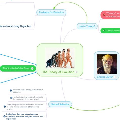 The Theory of Evolution | Theory of evolution, Evolution, Theories