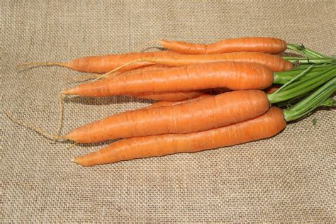 Free Images : food, produce, vegetable, eat, carrot, federal carrots ...