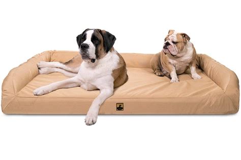 15 Best XXL Dog Beds for Great Danes - Hey, Djangles.