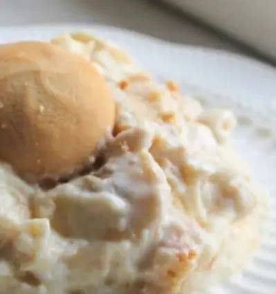 SOUTHERN BANANA PUDDING RECIPE – 1k Recipes!