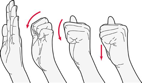 Exercises for the fingers, hands and wrists | Versus Arthritis