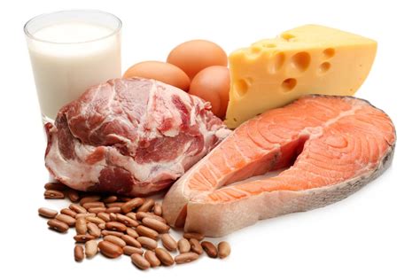 4 Refrensi Makanan Tinggi Protein, Cocok Untuk Diet - Diet Sehat