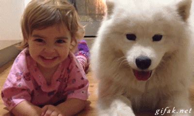 Happy Dog GIF - Find & Share on GIPHY