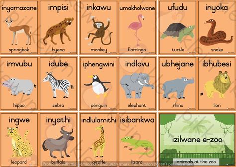 ISIZULU - ENG = IZILWANE E-ZOO / ZOO ANIMALS | Zoo animals, Animals, Zulu language