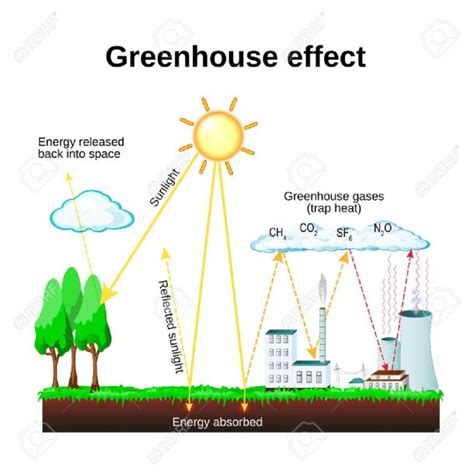 Greenhouse Effect Diagram Showing How The Greenhouse Effect | Best Diagram Collection