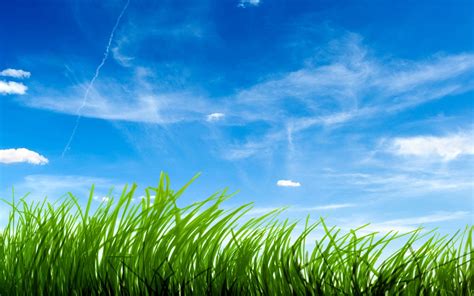 Grass and Sky Wallpaper - WallpaperSafari