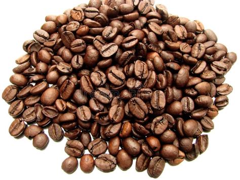 Coffee seeds stock image. Image of shape, brown, coffee - 13191261