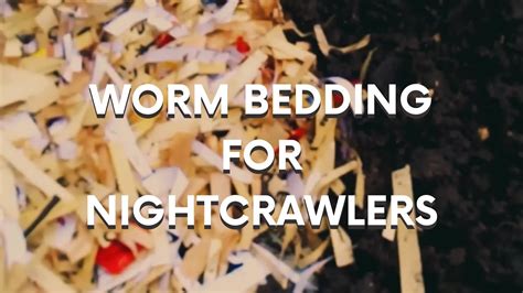 Worm Bedding for Nightcrawlers - YouTube