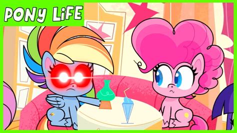 Pony Life | NEW | Rainbow Dash Loyalty Moment - Kindness Day | MLP Pony Life - YouTube