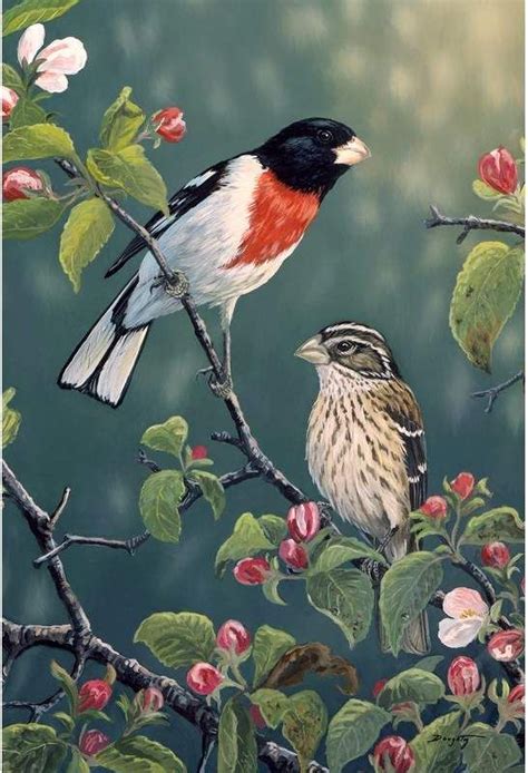 Toland Home Garden Rose-Breasted Grosbeaks 2-Sided Garden flag | Bird, Painting, Bird art