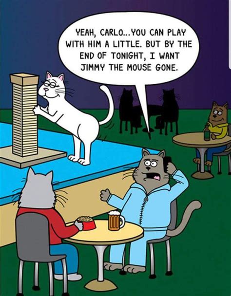 Pin by Sandy Ayres on Scott Metzger | Cat comics, Cat jokes, Cartoon cat