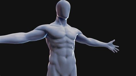 Male Base Body - Buy Royalty Free 3D model by Zaxel [7ceef67] - Sketchfab Store