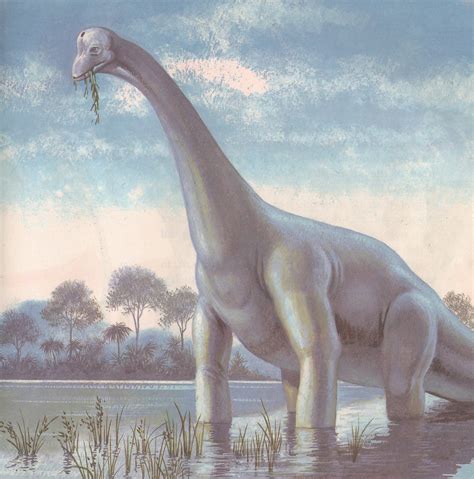 Brachiosaurus | Illustrated by James Seward. From "The Natur… | Flickr