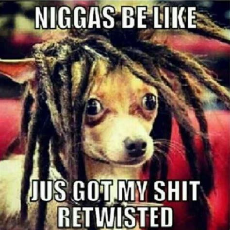 Pin de Master Plan en dreads | Humor divertido sobre animales, Memes perros, Imagenes de ...