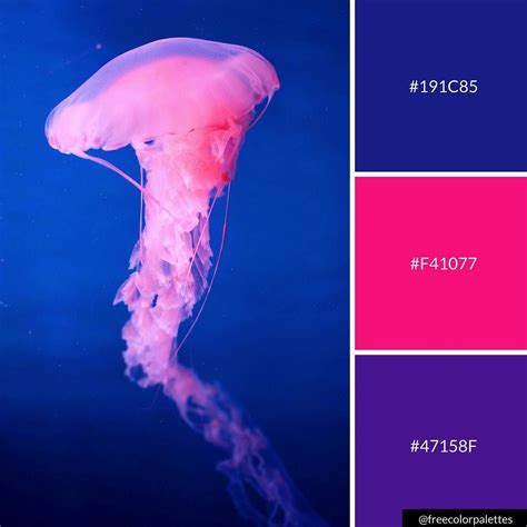 Galaxy | Bold | Underwater | Jellyfish |Color Palette Inspiration. | Digital Art Palette And ...