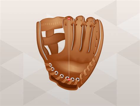 Baseball Glove Size Chart: Size charts for baseball and softball (2023)