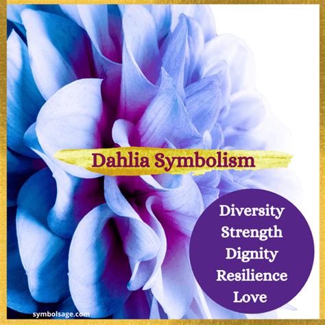 Dahlia – Meaning and Symbolism - Symbol Sage