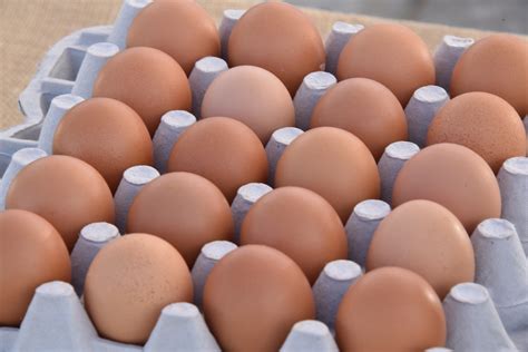 20 Brown Eggs Free Stock Photo - Public Domain Pictures