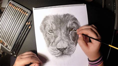 Lion Of Judah Drawing at GetDrawings | Free download