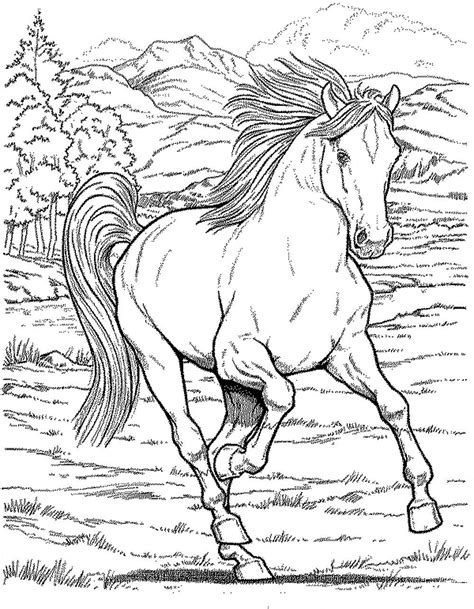 Realistic Horse Coloring Pages at GetColorings.com | Free printable ...