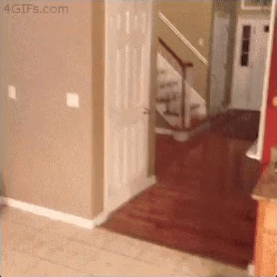 Prank Fail GIF - Prank Fail Ghost - Discover & Share GIFs