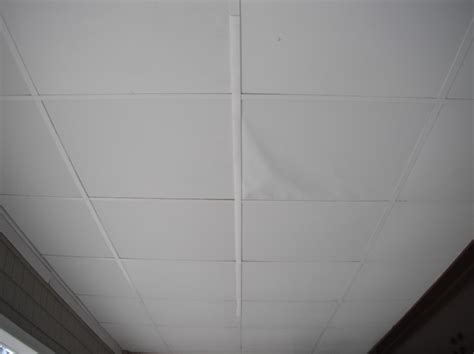 Perfect Ceiling Grid Covers At Wholesale Price - ISC