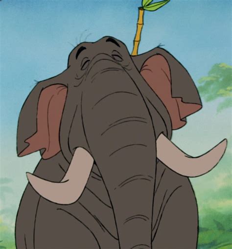 Colonel Hathi | Disney Wiki | Fandom