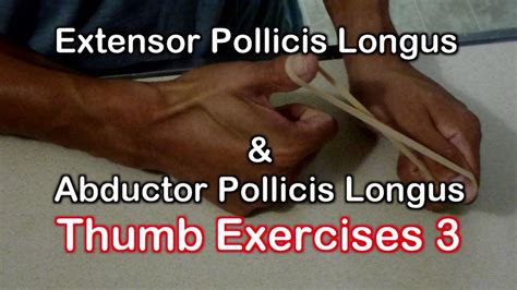 Thumb Exercises Extensor Pollicis Longus & Abductor Pollicis Longus ...