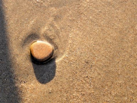 Smooth Pebble Rock on Beach with Golden Brown Wet Sand Shining in ...