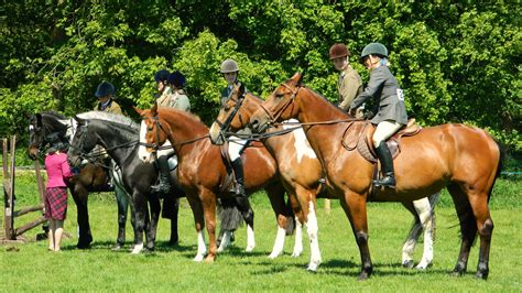 Horse Rider Free Stock Photo - Public Domain Pictures