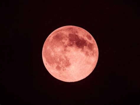 Full Pink Paschal Moon, April Meteor Showers: When To Watch In VA ...