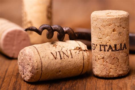 Broken Cork? Here’s How You Can Get it Out of a Wine Bottle - Chaumette