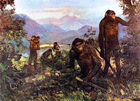 El homo erectus ya andaba como el hombre moderno hace 1,5 millones de años | La República EC